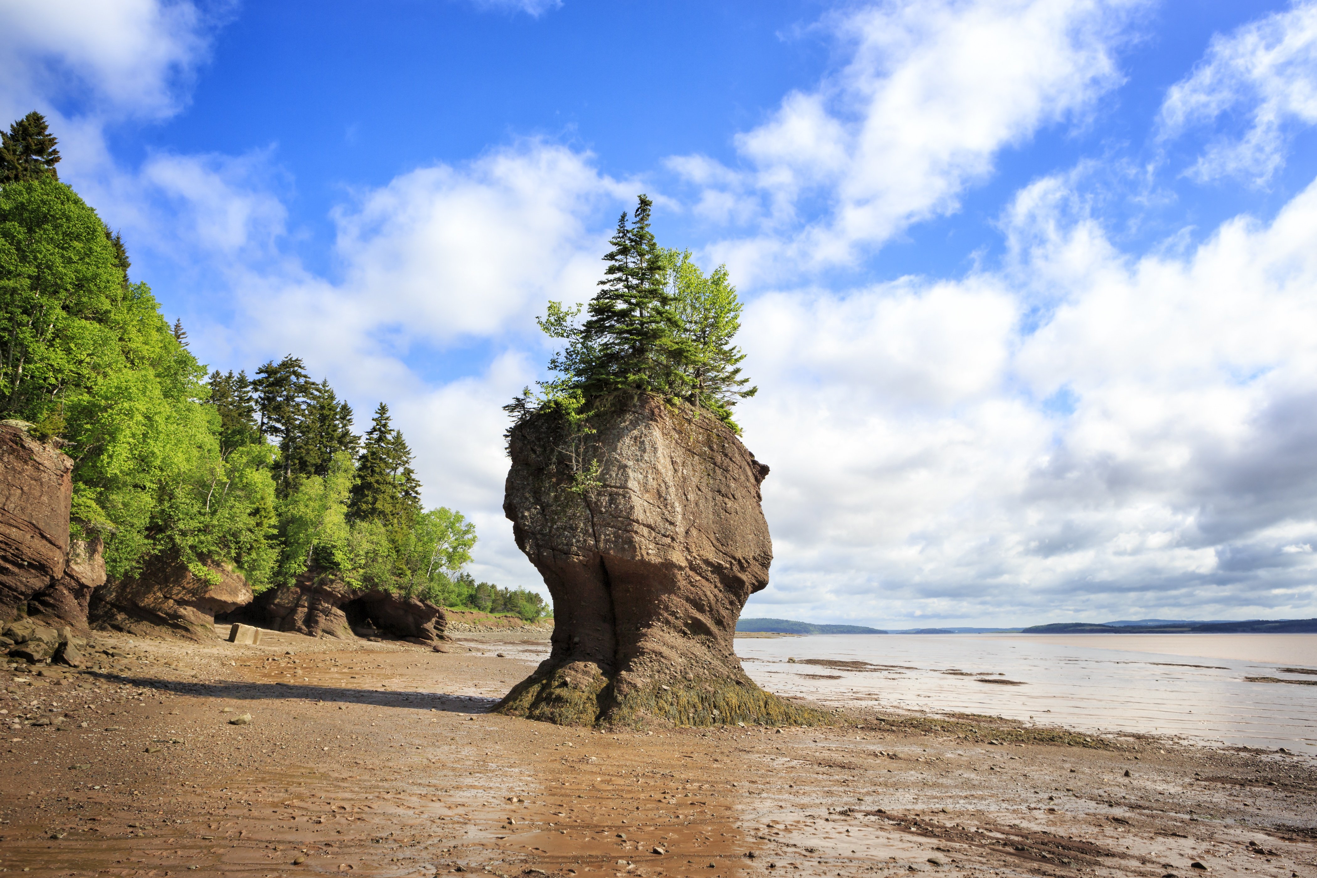 10 New Brunswick Hiking Trails- Fall Edition